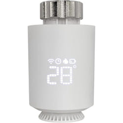 2 tetes thermostatique +  1  passerelle - radiateur divers