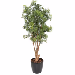 ARALIA MING NITIDA UV, ARTIFICIEL, tronc noueux en bois, feuillage en PE traité UV. Pot de base PVC bétonné de 16 cm de diamè ...