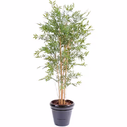 BAMBOU JAPANESE PLAST UV RESISTANT Artificiel, plante artificielle comprenant 7 cannes de couleur naturelle, les feuilles son ...