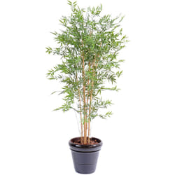 Plante artificielle haute gamme Spécial extérieur en Bambou artificiel, couleur verte - Dim : 180 x 85 cm