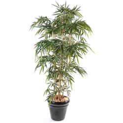 BAMBOU NEW UV RESISTANT Artificiel, plante artificielle Garantie UV 2000heures(environ 2ans),variation de couleur inférieure  ...