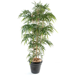 Plante artificielle haute gamme Spécial extérieur / Bambou artificiel coloris vert - Hauteur 120 cm