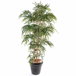 BAMBOU NEW UV RESISTANT Artificiel, avec à la base un pot de hauteur 14,5cm et de diamètre 15cm. Garantie UV 2000heures(envir ...
