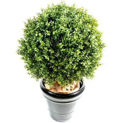 Plante artificielle haute gamme Spécial extérieur / Buis boule artificiel - Dim : H.45 x D.30 cm
