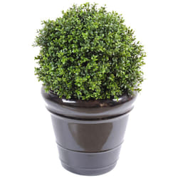 Plante artificielle haute gamme Spécial extérieur / Buis boule artificiel - Dim : H.50 x D.40 cm