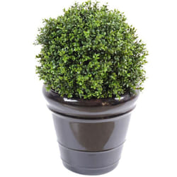 Plante artificielle haute gamme Spécial extérieur / Buis artificiel boule uv - Dim : H.45 x D.30 cm
