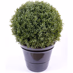 Buis Boule Regular New Artificiel, pot de diamètre 30cm, Hauteur 24cm, convient parfaitement pour l'extérieur. Nos plantes ar ...