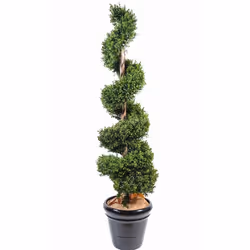 Buis Spirale New Artificiel, Diamètre de 40cm,Convient à l'extérieur mais traiter le tronc en bois avec du vernis marine, hau ...
