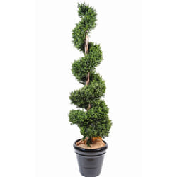 Plante artificielle haute gamme Spécial extérieur / Buis spirale artificiel - Dim : 180 x 40 cm