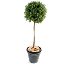 Plante artificielle haute gamme Spécial extérieur / Buis boule coloris vert - Dim : H.110 x D.45 cm