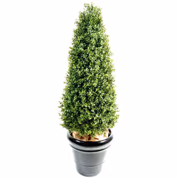 Buis Topiaire New Artificiel, plante artificielle avec une hauteur de tige de 40cm, hauteur du feuillage 30cm, convient à l'e ...