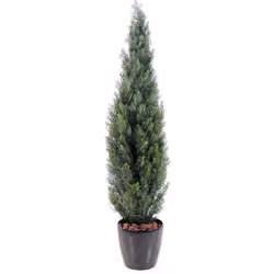 CYPRES MINI NEW artificiel en PE de 35cm d'envergure avec un pot de base 17 cm de hauteur et 18cm de diamètre. Nos plantes ar ...
