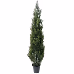 CYPRES MINI NEW 180CM Artificiel, est composé en 3 partie à emboîter. Pot de diamètre 22cm et hauteur 20cm. Nos plantes artif ...