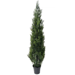 Plante artificielle haute gamme Spécial extérieur / Cyprès Artificiel Mini Vert - Dim : 180 x 45 cm
