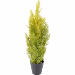 CYPRES MINI NEW Artificiel, pot de diamètre 12cm et de hauteur 11cm. Nos plantes artificielles pour extérieur sont des produi ...