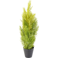 Plante artificielle haute gamme Spécial extérieur / Cyprès artificiel coloris vert/jaune - Dim : 60 x 20 cm