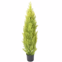 CYPRES MINI NEW 125CM Artificiel, de 25cm d'envergure avec un pot à la base de 17cm de diamètre et 15cm de hauteur. Peut conv ...