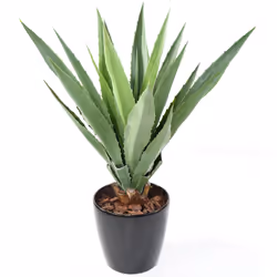 AGAVE FURCRAEA artificielle, pot de base diam 18 cm et hauteur 16 cm. composée de 20 feuilles en PE. Nos plantes artificielle ...