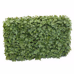 LIERRE HAIE UV Artificielle, composée d'une structure en métal de longueur 80cm, largeur 18cm et hauteur 49cm. Peut convenir ...