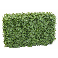 Pegane - Haie artificielle haute gamme Spécial extérieur / Lierre artificiel Vert - Dim : 75 x 25 x 90 cm