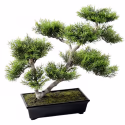 PIN BONSAI 42 Artificiel, composé d'un feuillage en PE forme nuage composé de 8 plateaux avec à la base une coupelle en PVC d ...