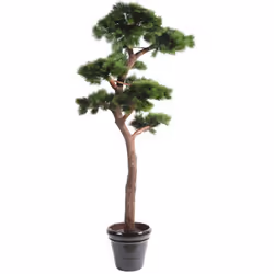 PIN BONSAI UV RESISTANT Artificiel, comprenant 7 branches : branches bois vernies à emboîter, 1ère branche à 104 cm, Tronc ré ...