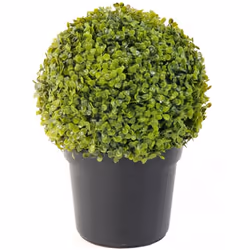 BUIS BOULE POT Artificiel, le pot est accolé à la boule de buis, sur une structure plastique avec tronc bois. boule de buis r ...