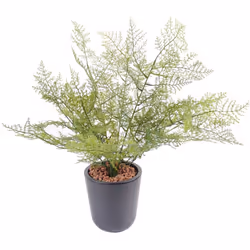 Asparagus artificiel en plastique, peut convenir pour l'extérieur. Nos plantes artificielles sont des produits conçus avec de ...