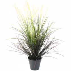 GRAMINEE TOUFFE artificielle, en PE tricolore avec 42 fleurs, pot de base diam 18 cm et hauteur 14 cm, (un seul piquet).