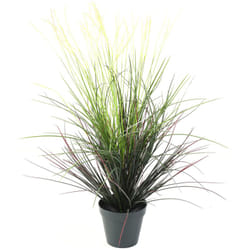 Plante artificielle haute gamme Spécial extérieur / Graminee artificielle - Dim : 80 x 50 cm Pegane