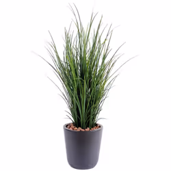 HERBE FINE POT Artificiel, comprenant 1 piquet central et 8 petits piquets, pot de diamètre 12cm et hauteur 10cm. Peut conven ...