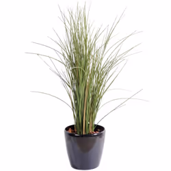 HERBE HONEY GRASS, Plantes vertes artificielles, de hauteur 80cm et d'envergure 30cm environ. Existe aussi en 115cm. Pot haut ...