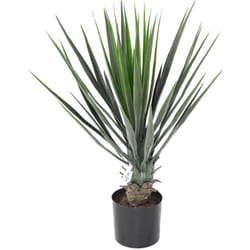 Plante artificielle haute gamme Spécial extérieur / yucca Artificiel - Dim : 60 x 40 cm Pegane