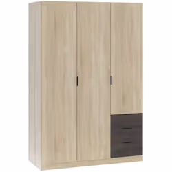 Cette armoire de 3 portes est polyvalente et permet de combiner le stockage de vêtements pliés et suspendus. Armoire centrale ...