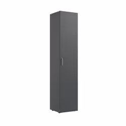 Armoire, meuble de rangement avec 1 porte coloris Graphite. Livrée en kit. Dimensions : longueur 30 x hauteur 185 x profondeu ...