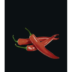 Fond de hotte Peperoni - l. 60 x l. 70 cm