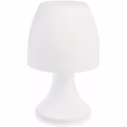 Ce lot contient 2 produits décrits ci-dessous : FICHE TECHNIQUE - Lampe LED en polypropylène. - Diffuse une lumière blanche. ...