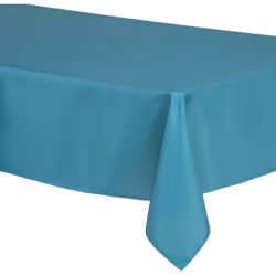 La nappe rectangulaire en polyester habillera votre table avec goût. Sa couleur unie rehaussera votre vaisselle de table. De  ...