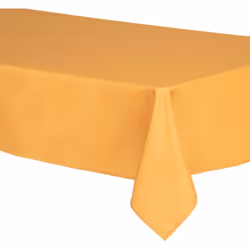 La nappe rectangulaire en polyester habillera votre table avec goût. Sa couleur unie rehaussera votre vaisselle de table. De  ...
