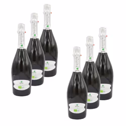 Prosecco brut DOC Bio - Grifon