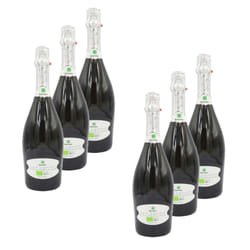Prosecco brut DOC Bio - Grifon