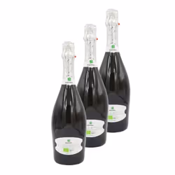 Prosecco brut DOC Bio - Grifon