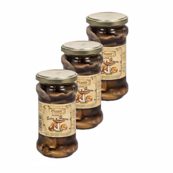 Assortiment de champignons - diamir