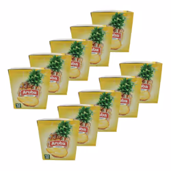 Boisson instantanée arôme ananas - 12 x 30g - Aruba