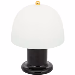 La lampe à poser LED SEATLE donnera du style à un meuble tout en vous éclairant délicatement à la nuit tombée. Très pratique, ...
