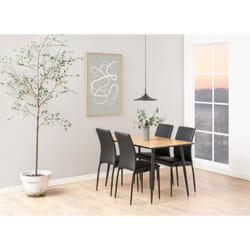 Lot De 4 Chaises De Salle À Manger Midena
