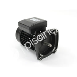 Pentair - Moteur pour pompes Ultraflow, Whisperflow, La Sta-Rite et Superflo 1 cv Mono