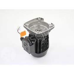 Moteur pour pompes La Sta-Rite 0,75 cv Tri Pentair