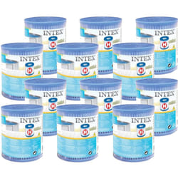Intex - 12 cartouches de filtration h