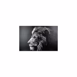 Toile imprimée Lion 78 x 118 cm Atmosphera